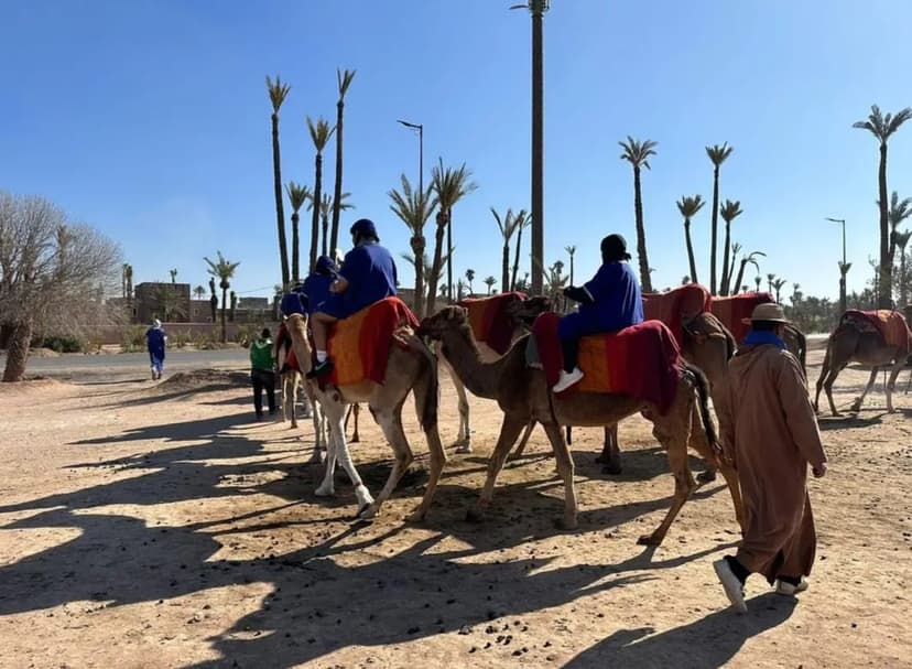 Balade dromadaire Marrakech 4