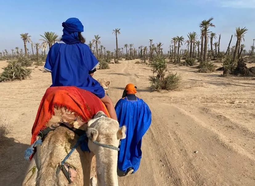 Balade dromadaire Marrakech 6