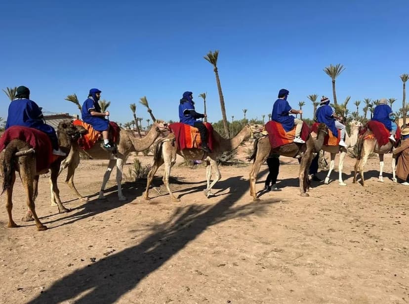 Balade dromadaire Marrakech 7
