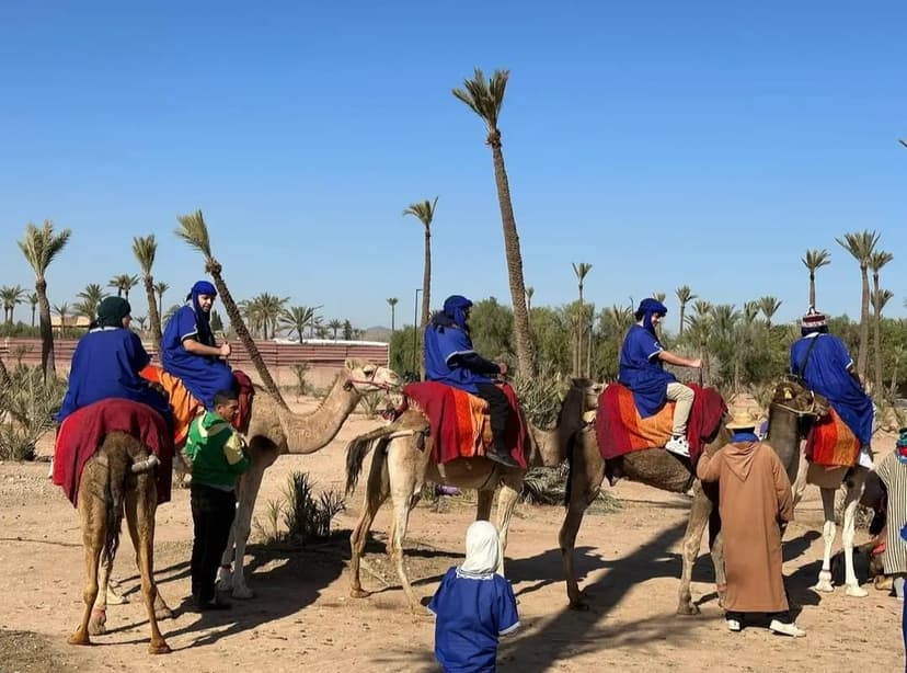 Balade dromadaire Marrakech 8