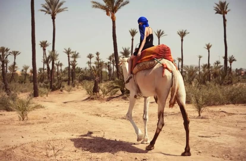 Balade dromadaire Marrakech 9